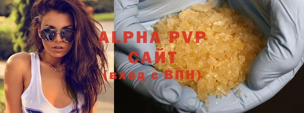 хмурый Абаза