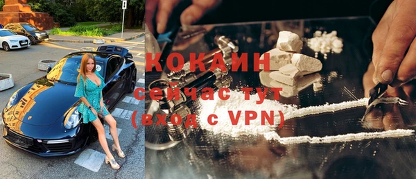 хмурый Абаза