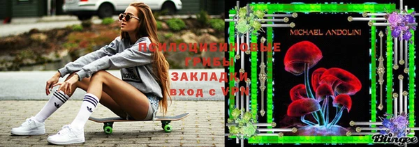 шишки Абинск