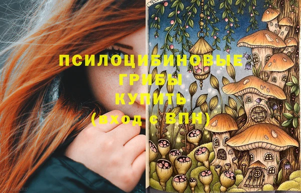 шишки Абинск