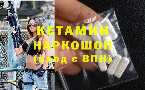 хмурый Абаза