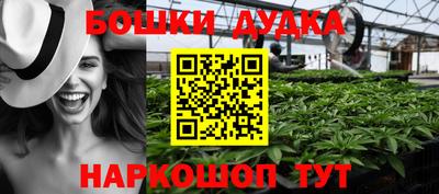 индика Волжский