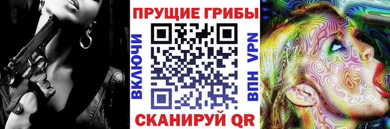 Псилоцибиновые грибы Cubensis  купить   Холмск 
